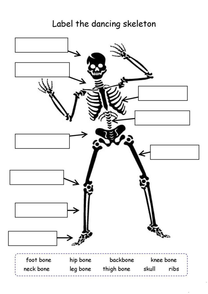 4th-grade-science-worksheets-best-coloring-pages-for-kids-common-core