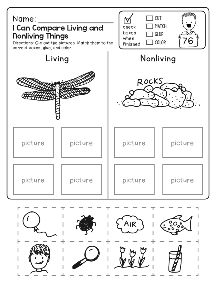 Fourth Grade Science Worksheets Printable