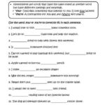 Choosing Your Or You Re Homophones Worksheets Homophones Worksheets