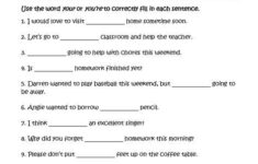 Choosing Your Or You re Homophones Worksheets Homophones Worksheets