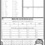 Common Core Foundational Skills Phonics And Spelling Packet