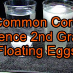 Common Core Science 2nd Grade Floating Eggs YouTube