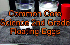Common Core Science 2nd Grade Floating Eggs YouTube