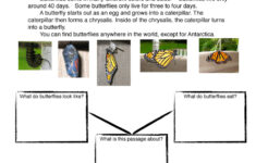 Common Core Worksheet RI 1 7 Have Fun Teaching