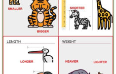 Comparing Objects Using Their Measurements Worksheets Helping With Math