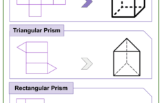 Constructing Geometry Nets 6th Grade Common Core Math Worksheets