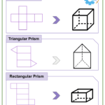 Constructing Geometry Nets 6th Grade Common Core Math Worksheets