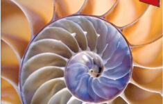 Core Skills Science Grade 1 SV 9780544261860 Houghton Mifflin Activity