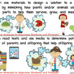 Cutest EVER Common Core SCIENCE STANDARDS Posters For Kindergarten And