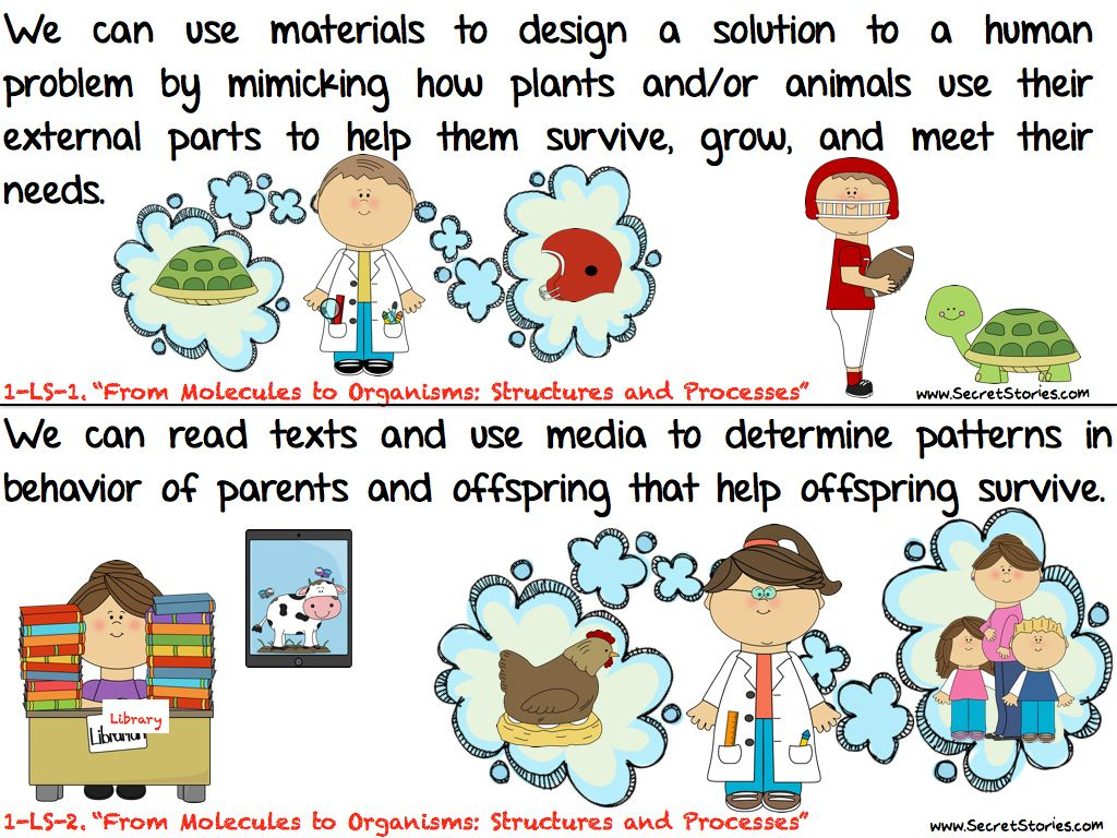 Cutest EVER Common Core SCIENCE STANDARDS Posters For Kindergarten And 