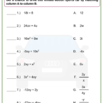 Division Of Algebraic Expressions Themed Math Worksheets