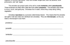 Fifth Grade Common Core Worksheets Have Fun Teaching