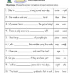 Homophone Worksheet Right Write English Worksheets For Kids