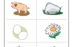 Letter Sounds R Preschool Letter Worksheet