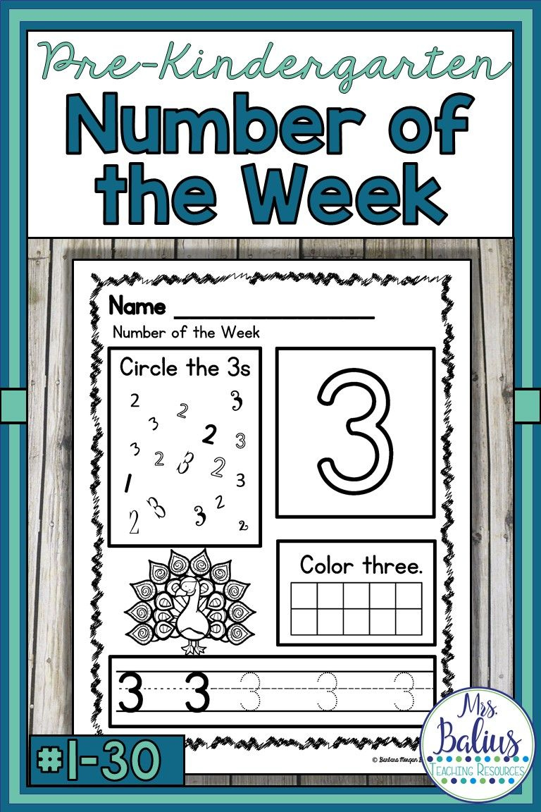 Number Sense Pre K Number Of The Week Pre Kindergarten Math 