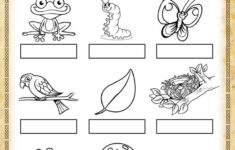Objects Found In Nature View 2nd Grade Science Worksheet SoD