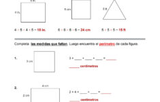 Perimeter Of Common Shapes Worksheet