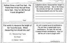 Primary Junction Second Grade Common Core Measurement Unit