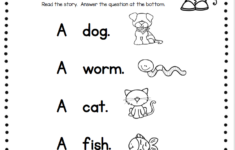 Reading And Writing Back To School In Kindergarten FREE Week