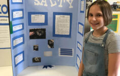 Science Fair Bartelso Grade School