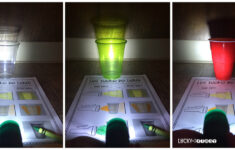 Science First Grade Common Core Resources