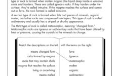 Solid Evidence View Science Worksheets For 5th Graders JumpStart