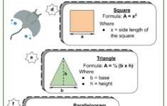 Solving Area Volume Surface Area Of Objects 7th Grade Math Worksheet