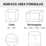 Surface Area Calculator Find The Surface Area Of Many Shapes