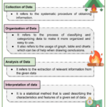 Understanding Basic Statistical Terms 7th Grade Math Worksheets