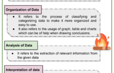 Understanding Basic Statistical Terms 7th Grade Math Worksheets